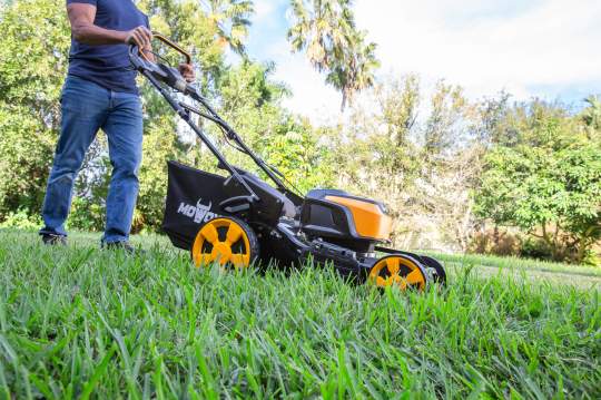 Mowox lawn mower discount
